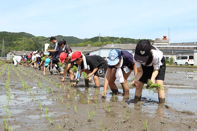 小学校部門