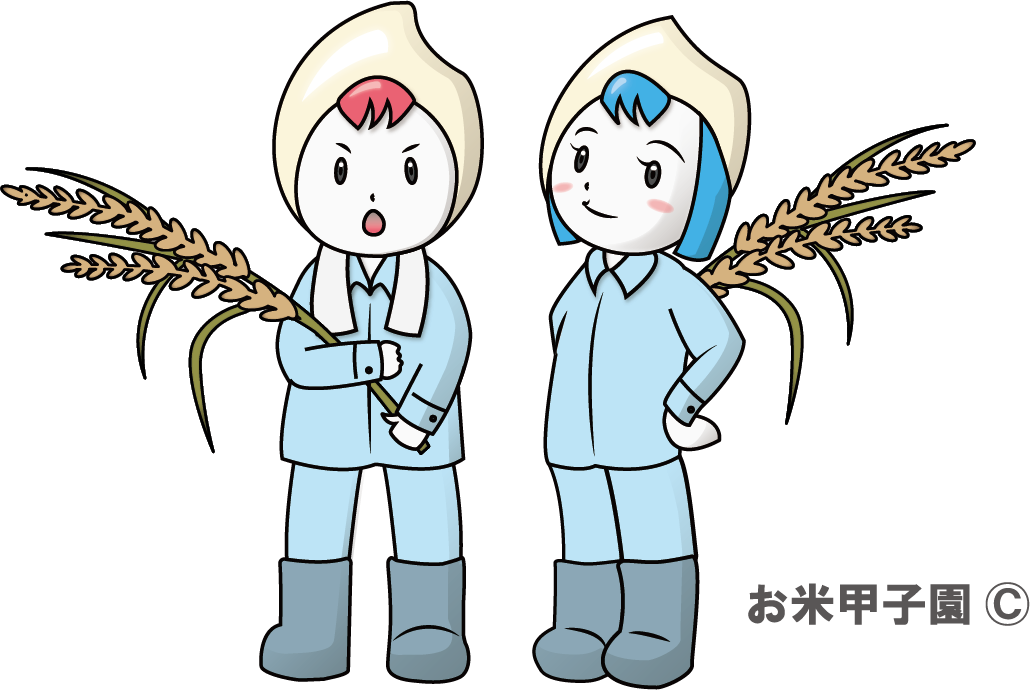 エントリー受付ページ